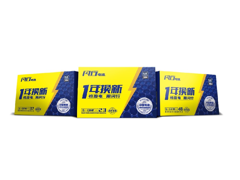 闪行电池